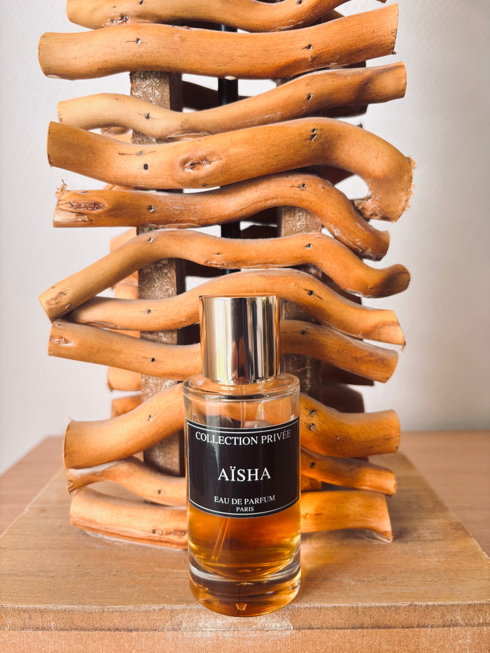 AISHA INSPIRATION  AL JAZEERA - MAGIE