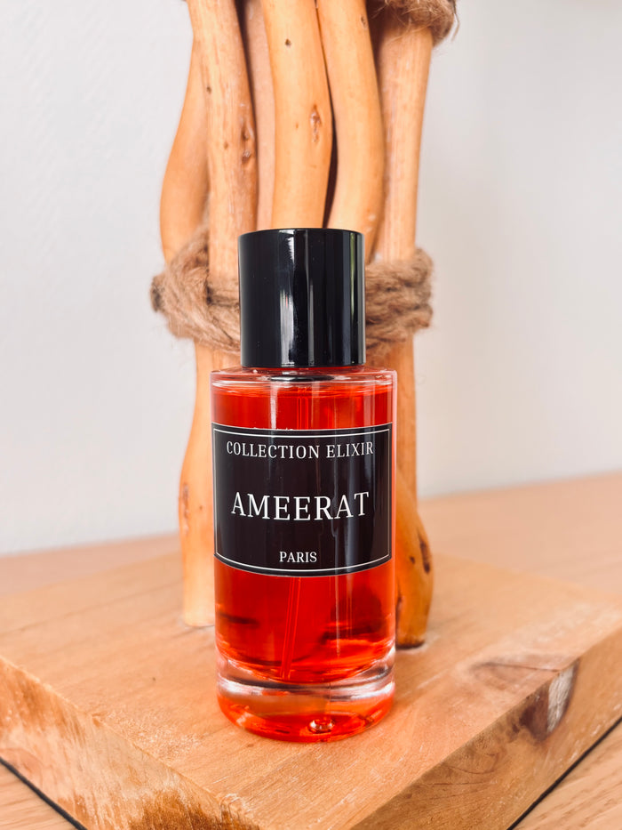 AMEERAT INSPIRATION DE CHEZ AMEERAT AL ARAB